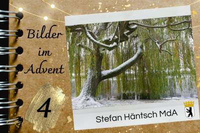 Inselrundweg, Mierendorffinsel